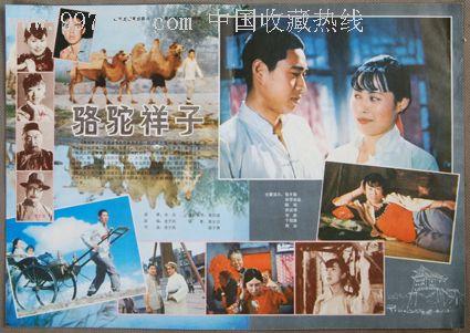 查尔斯达尔文大学degree